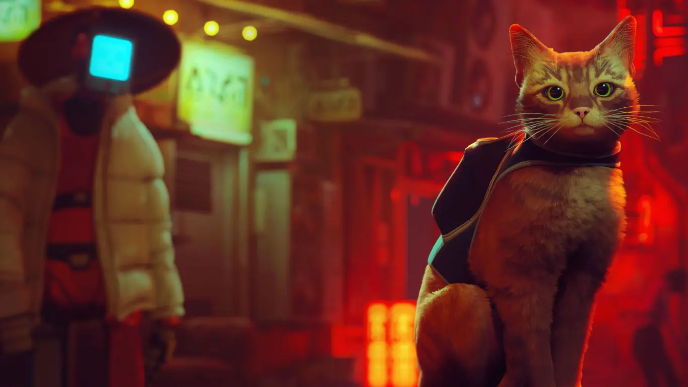 Stray (anapurna Interactive)