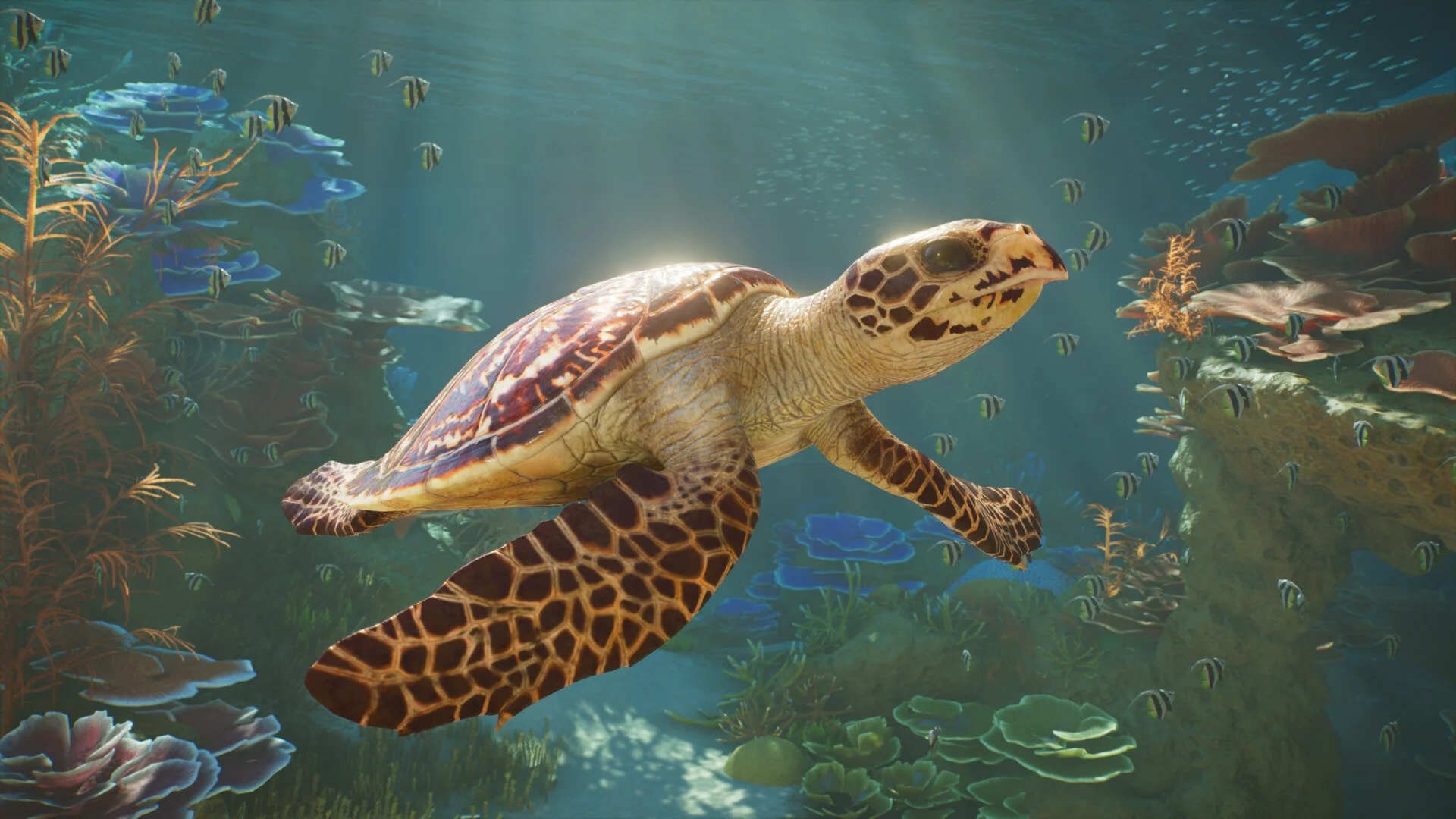 Planet Zoo 2 Diumumkan untuk PS5, Xbox Series, dan PC Planet Zoo 2